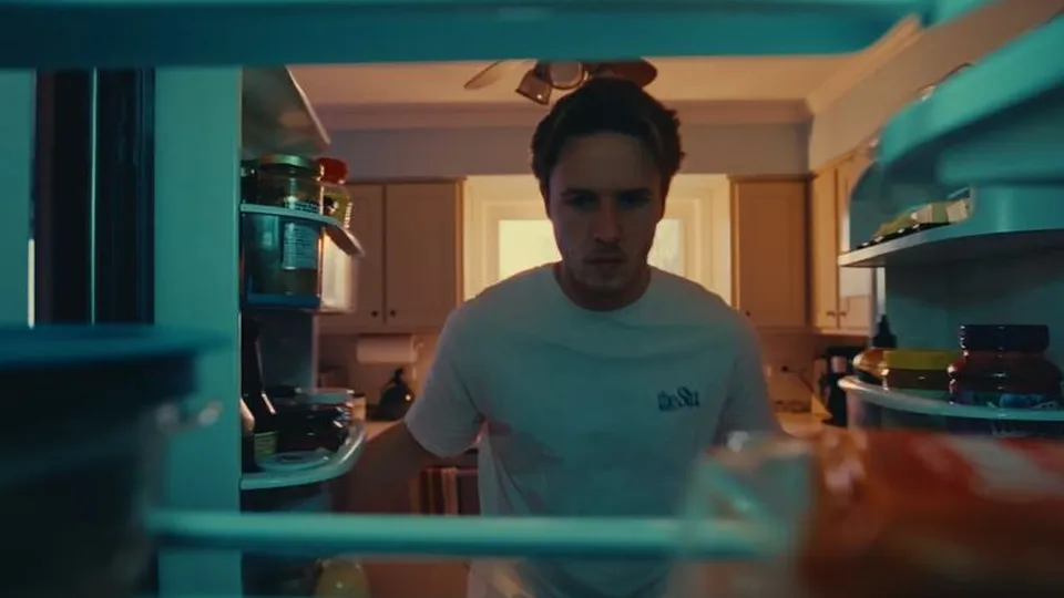 From inside the fridge, looking out at him